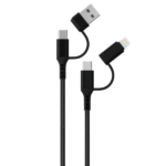 GREEN LION 2 in 2 fast charging